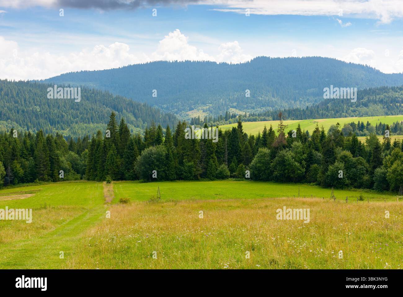 campagna montuosa in estate. foresta e campo verde su colline ondulate. paesaggio sotto il cielo blu con nuvole. splendida vista sul paesaggio rurale. jou Foto Stock