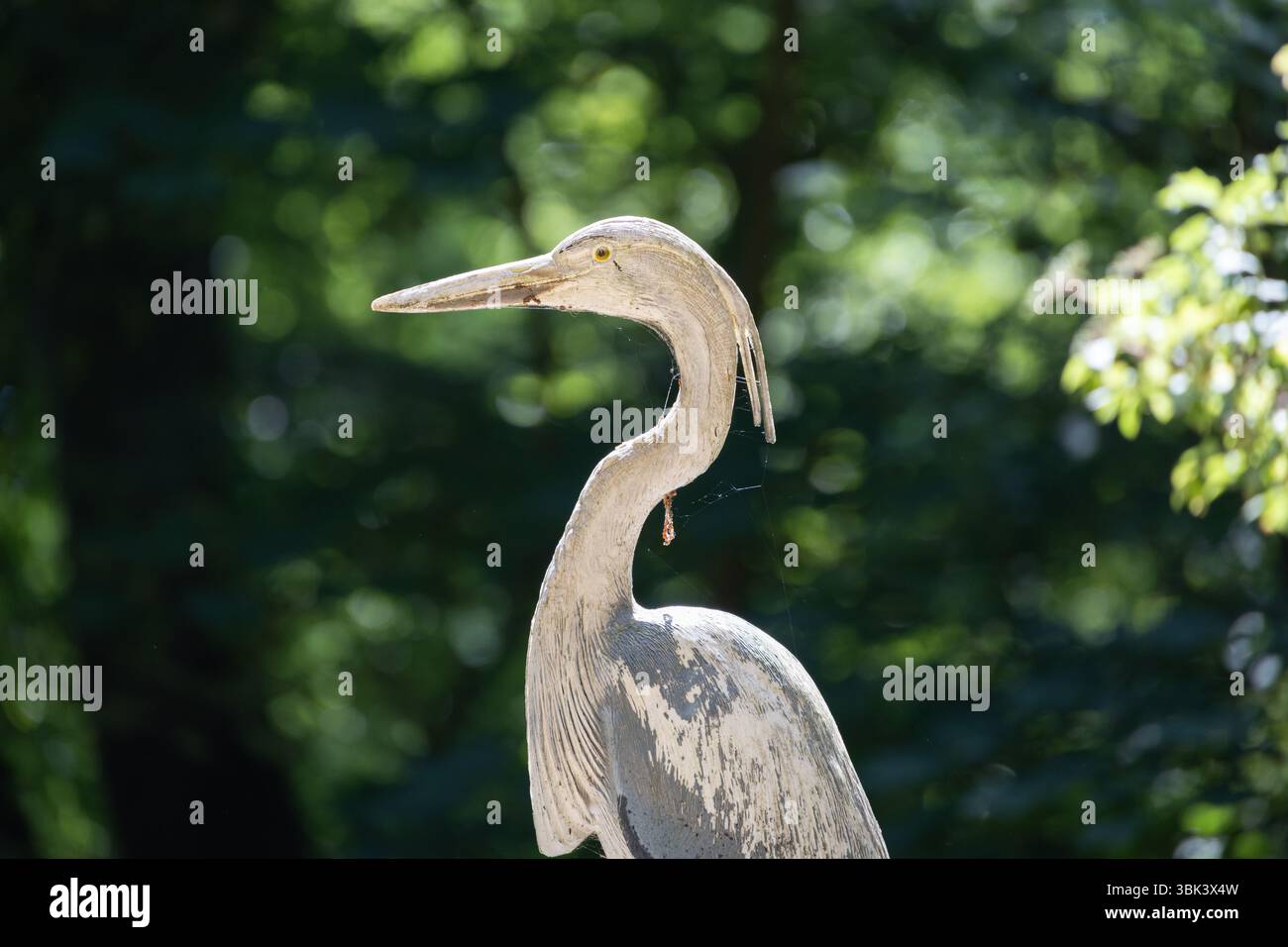 L'airone grigio è nel corso del fiume Foto Stock