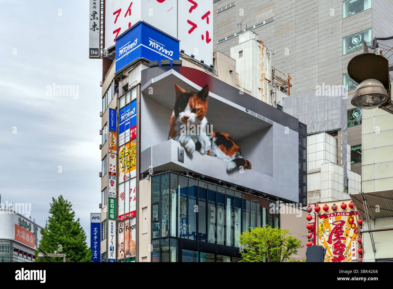 Gigantesco cartellone digitale 3D che mostra un gatto che sembra uscire dallo schermo in cima al Cross Shinjuku Building, Tokyo Foto Stock