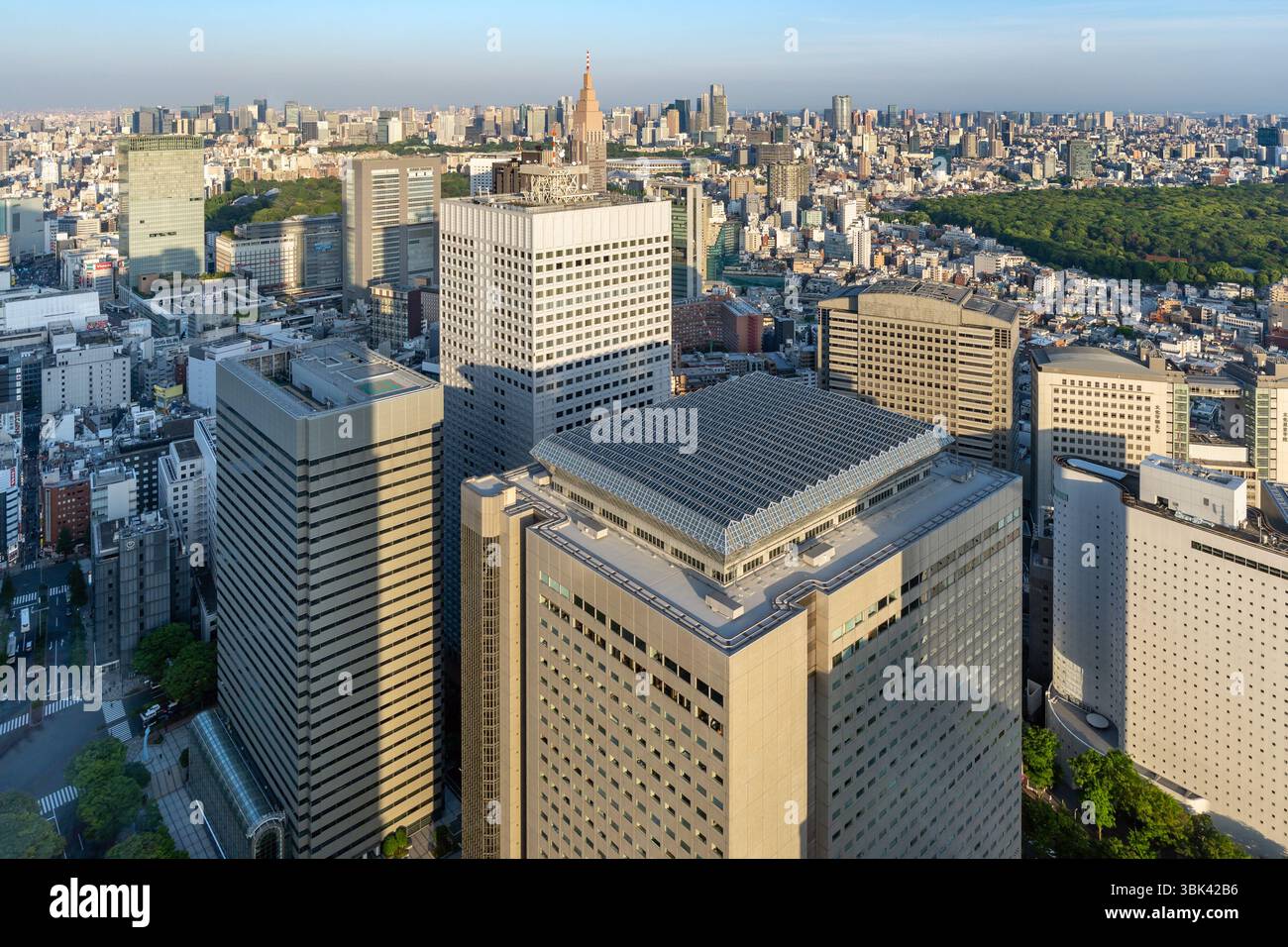 Vista dalla piattaforma di osservazione dell'edificio del governo metropolitano di Tokyo nella città di Shinjuku, Tokyo, Giappone Foto Stock