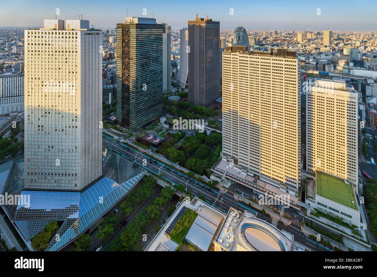 Vista dalla piattaforma di osservazione dell'edificio del governo metropolitano di Tokyo nella città di Shinjuku, Tokyo, Giappone Foto Stock