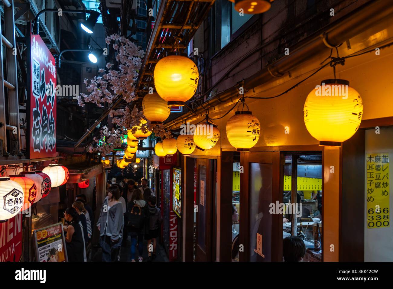 Omoide Yokocho, un vicolo della memoria a Tokyo, è una stretta strada pedonale piena di molti ristoranti e bar giapponesi Foto Stock