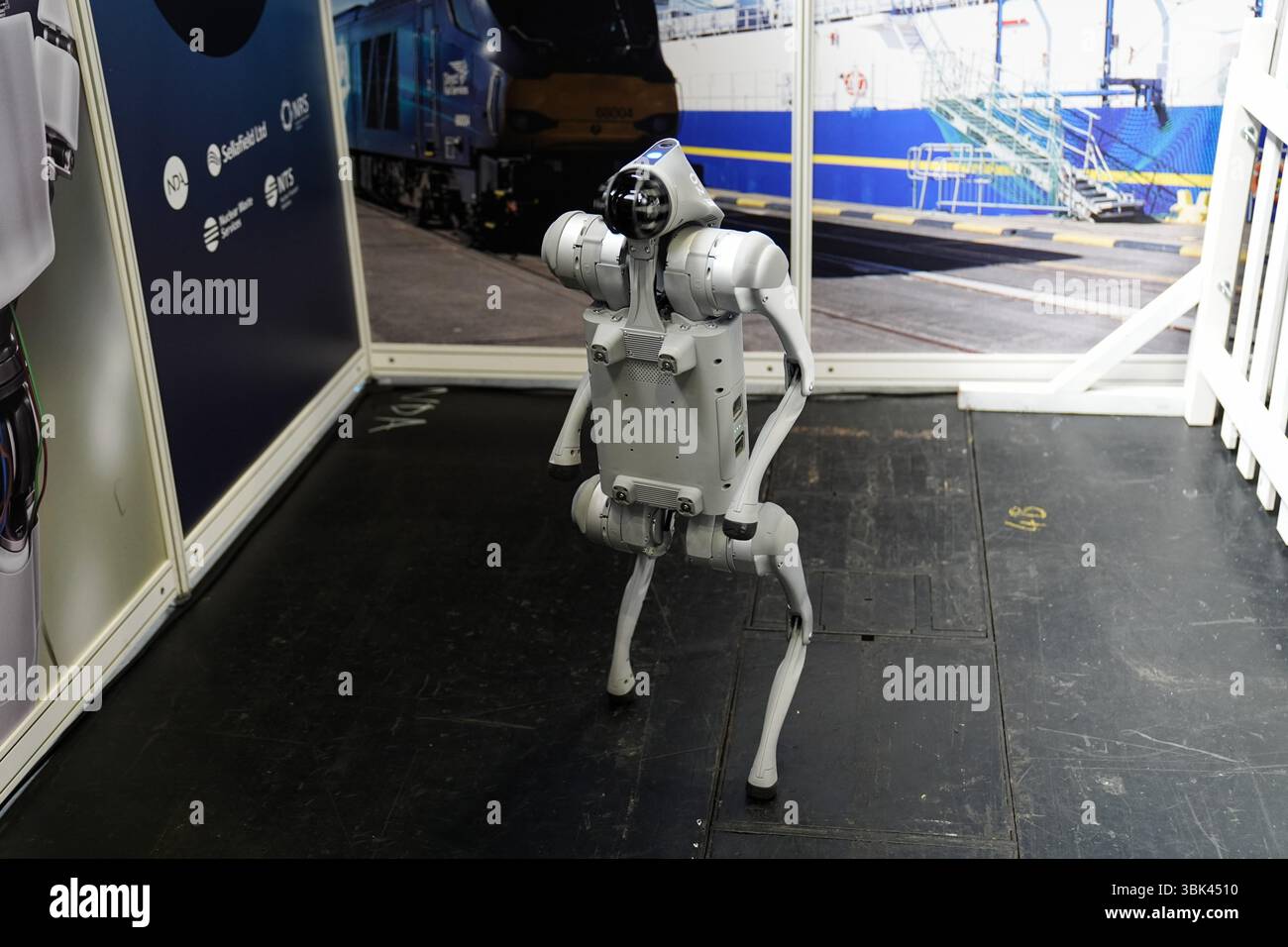 Una dimostrazione robotica di cani alla Big Bang Fair 2025, per giovani scienziati e ingegneri, al NEC di Birmingham. Data foto: Mercoledì 18 giugno 2025. Foto Stock