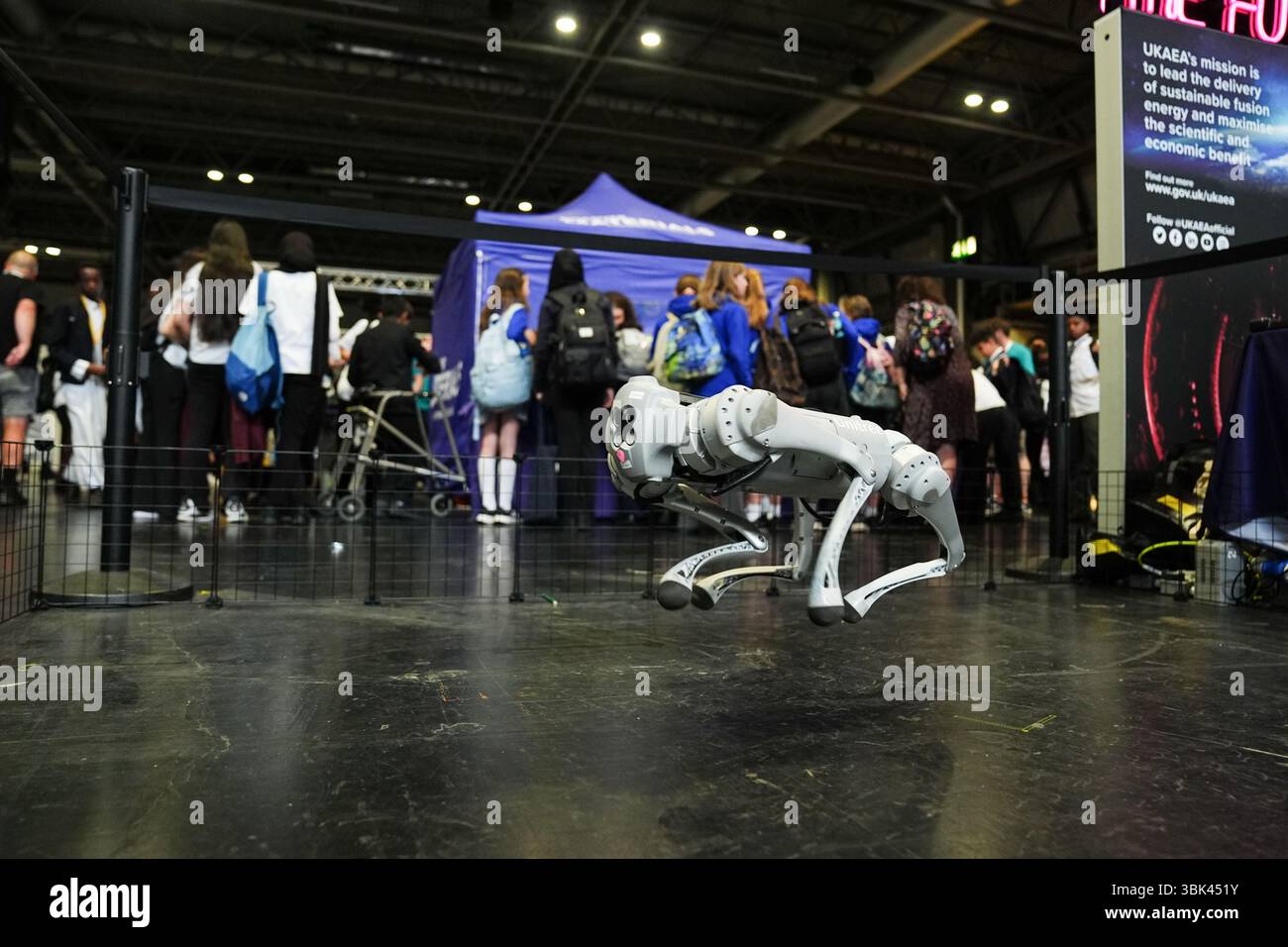 Una dimostrazione robotica di cani alla Big Bang Fair 2025, per giovani scienziati e ingegneri, al NEC di Birmingham. Data foto: Mercoledì 18 giugno 2025. Foto Stock