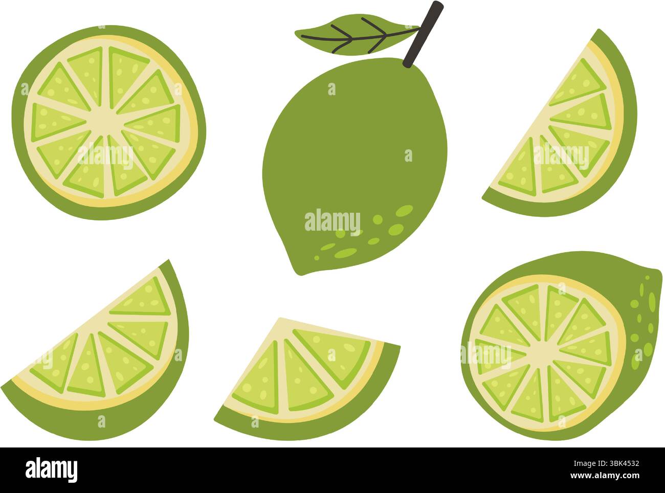 Set di lime verde fresco intero e tagliato a fette. Design agrumato perfetto per temi estivi, sfondi tropicali, modelli di ricette e confezioni alimentari. Vettore Illustrazione Vettoriale