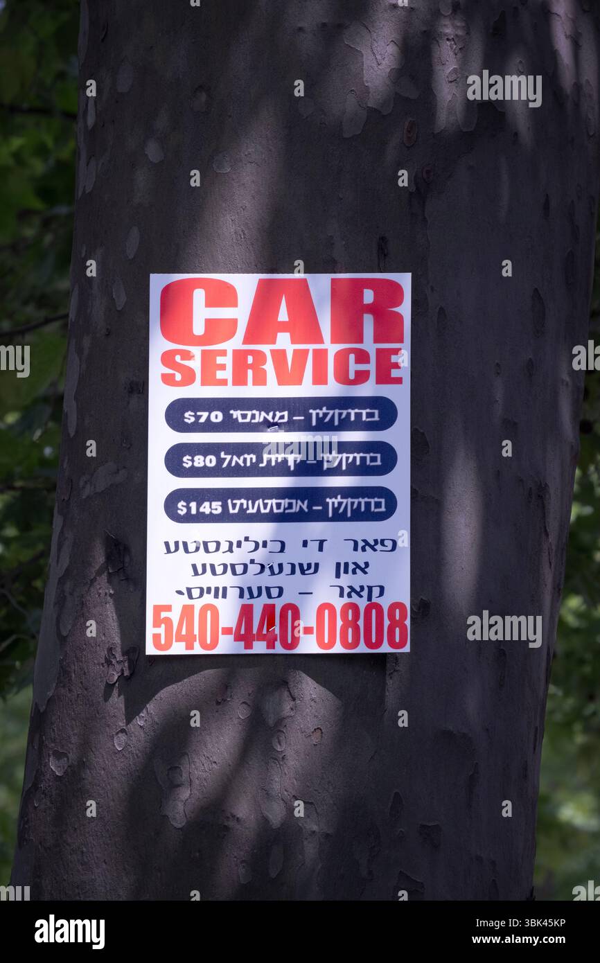 Un cartello yiddish inglese per un servizio auto per ebrei ortodossi a Monsey, Kiryas Joel o nella parte settentrionale di New York. Su un albero a Williamsburg, Brooklyn. Foto Stock