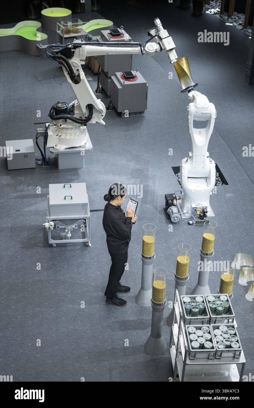 Osaka, Giappone. 18 giugno 2025. Una visita al padiglione giapponese all'Universal World Expo (13/04-13/10) durante la settimana fiamminga (15-21/06), a Osaka, Kansai, Giappone, mercoledì 18 giugno 2025. L'Expo 2025 è un'esposizione mondiale organizzata dal Bureau International des Expositions (BIE). Si svolge per sei mesi dal 13 aprile 2025 al 13 ottobre 2025. BELGA PHOTO ROB WALBERS credito: Belga News Agency/Alamy Live News Foto Stock