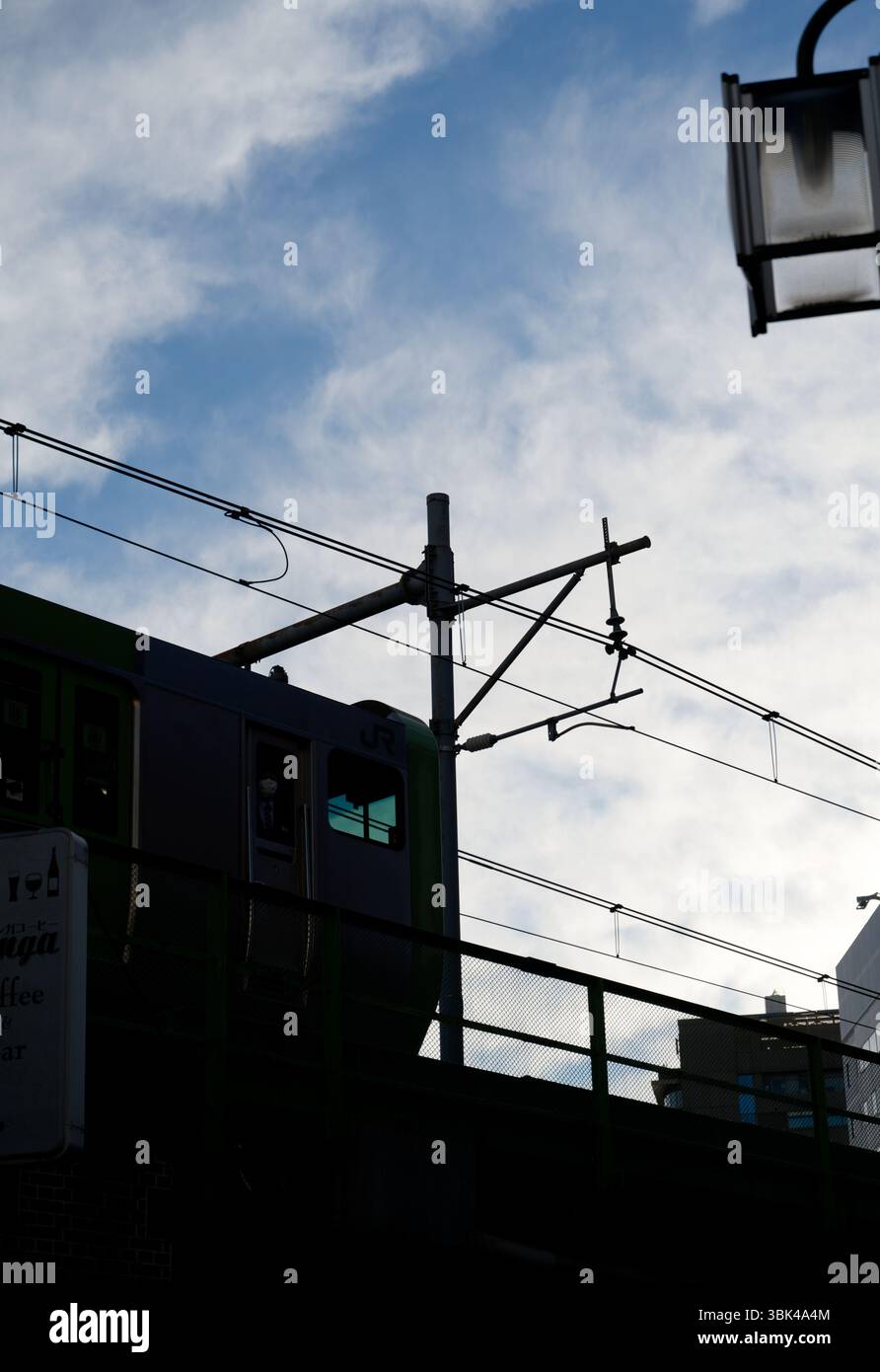 L'ultima auto di un treno della linea JR Yamanote scivola su un binario sopraelevato, incorniciato da linee elettriche e dalla luce soffusa della sera Foto Stock