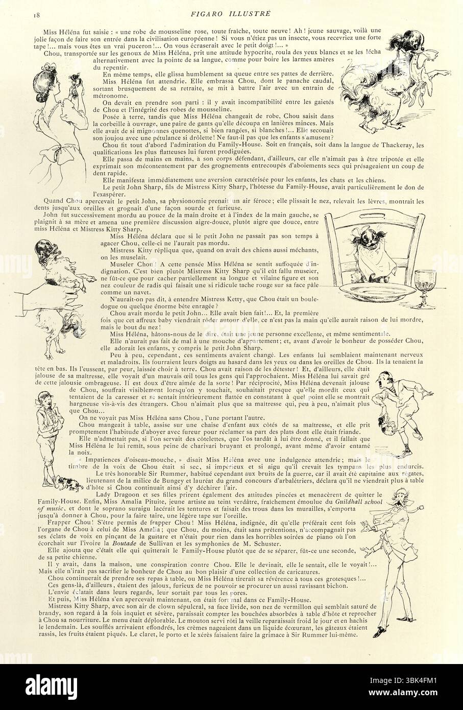 Donna con il suo cane pekingese domestico, XIX secolo, vittoriano, illustrazione Vintage, anni '1890 Foto Stock