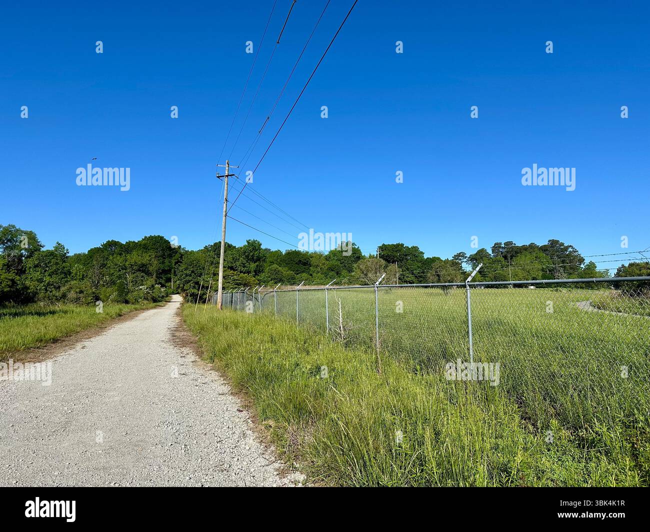 Strada di ghiaia rurale che corre lungo una recinzione a catena e linee elettriche sotto un cielo azzurro limpido, delimitato da erba verde e alberi Foto Stock