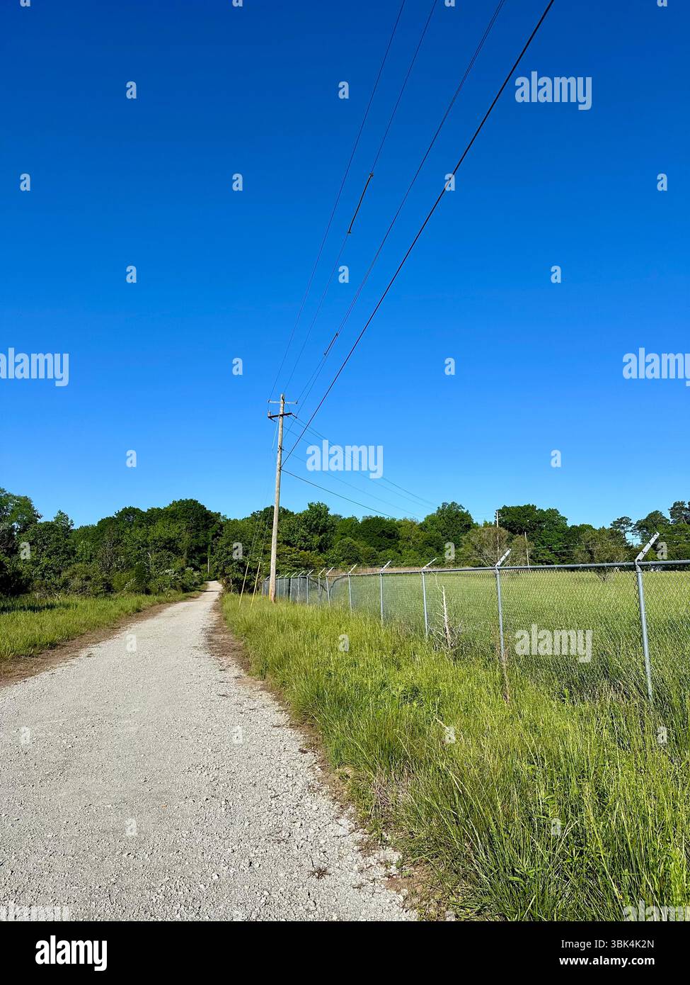 Strada di ghiaia rurale che corre lungo una recinzione a catena e linee elettriche sotto un cielo azzurro limpido, delimitato da erba verde e alberi Foto Stock