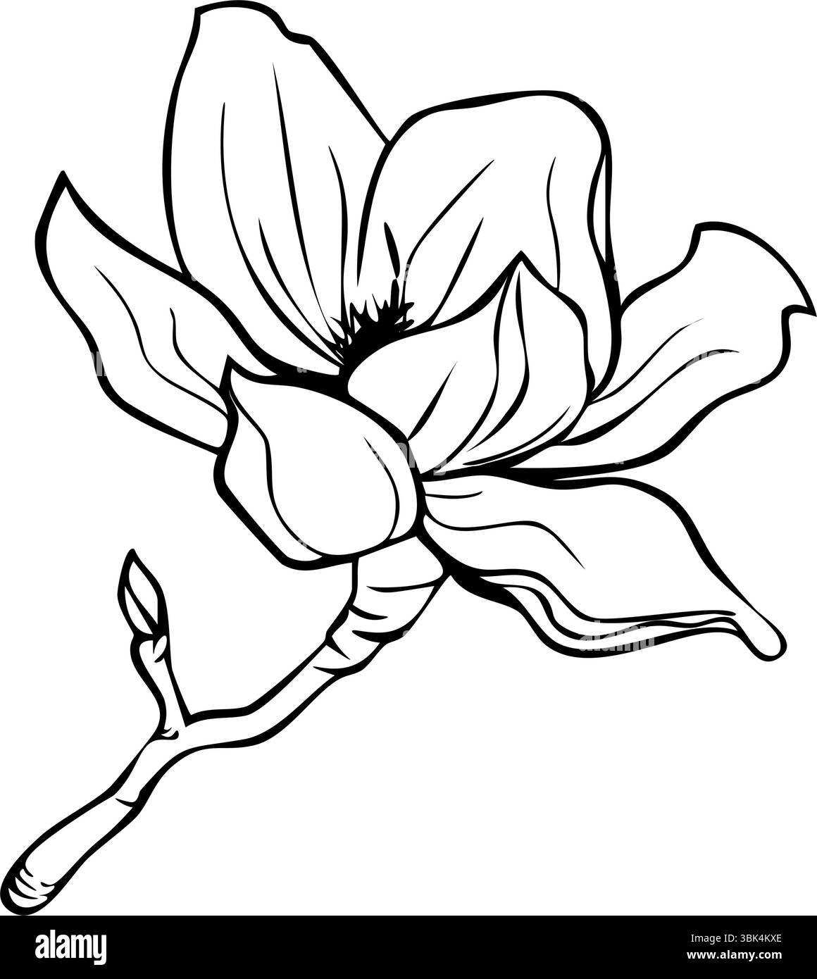 Un disegno con linee nere finemente dettagliate di un fiore di magnolia. Design botanico vintage perfetto per design floreale, inviti, ispirazione per tatuaggi e nat Illustrazione Vettoriale