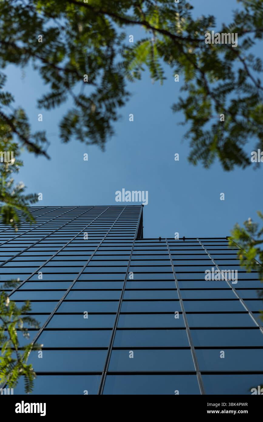 Il grattacielo per uffici si sta innalzando in un design piatto con finestre a griglia in acciaio riflettente e struttura ad alberi Foto Stock