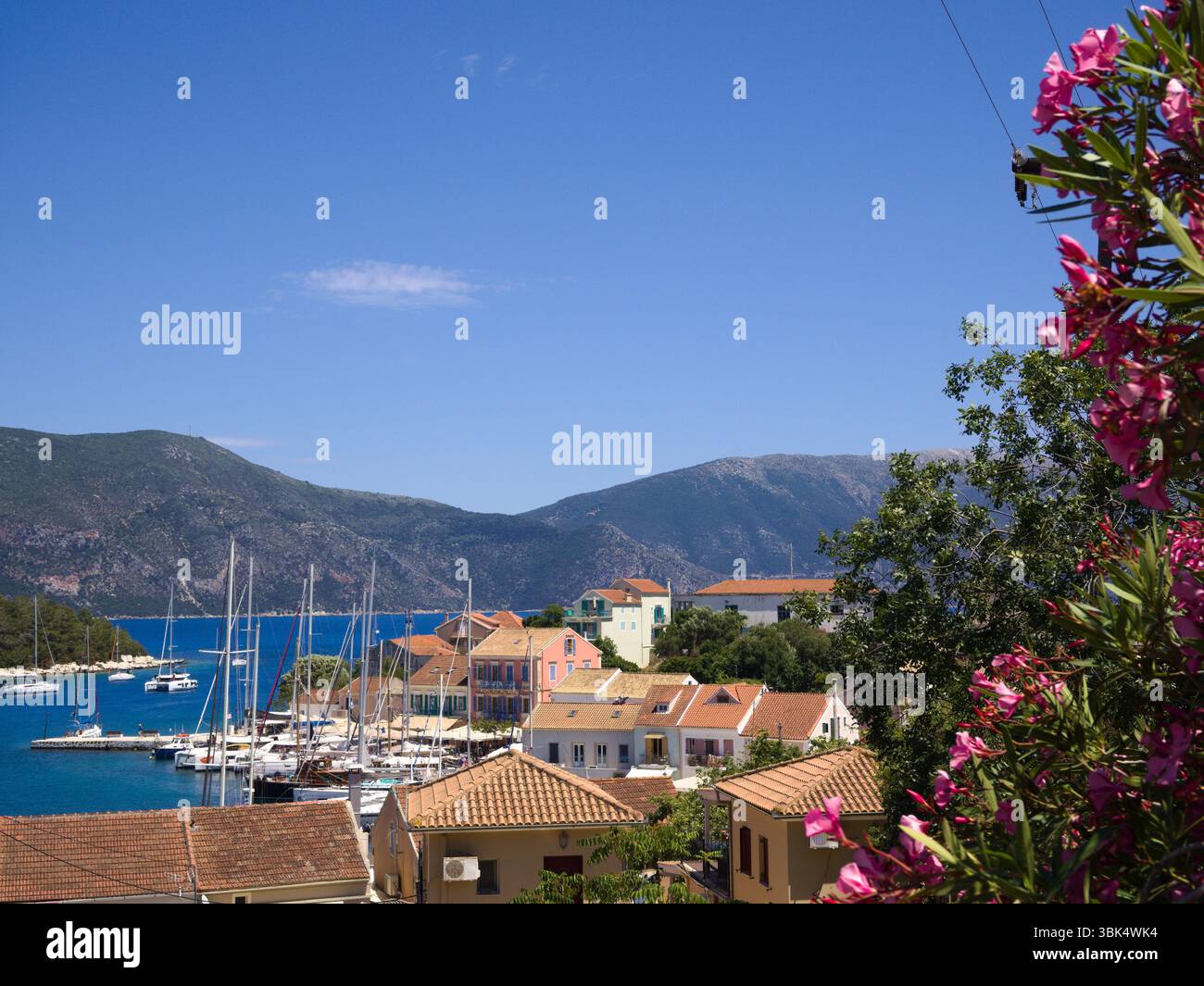 Porto di Fiskardo con yacht e oleandro rosa in fiore sotto il limpido cielo greco estivo. Foto Stock