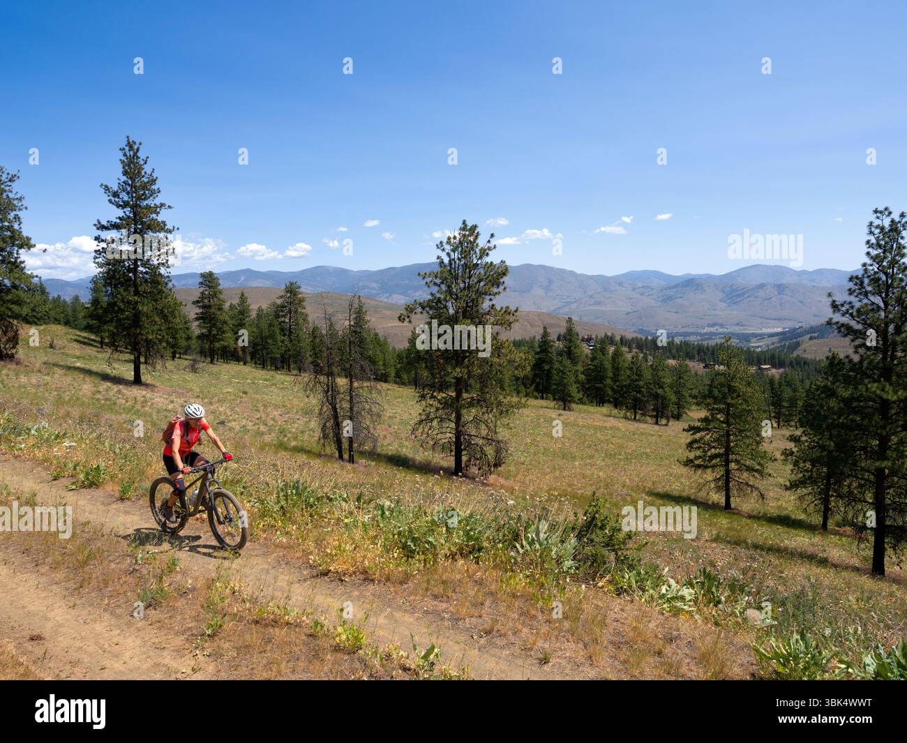 WA26633-00....WASHINGTON - Vicky Spring in mountain bike sul Meadowlark Trail vicino a Sun Mountain nella Methow Valley. MR# S1 Foto Stock