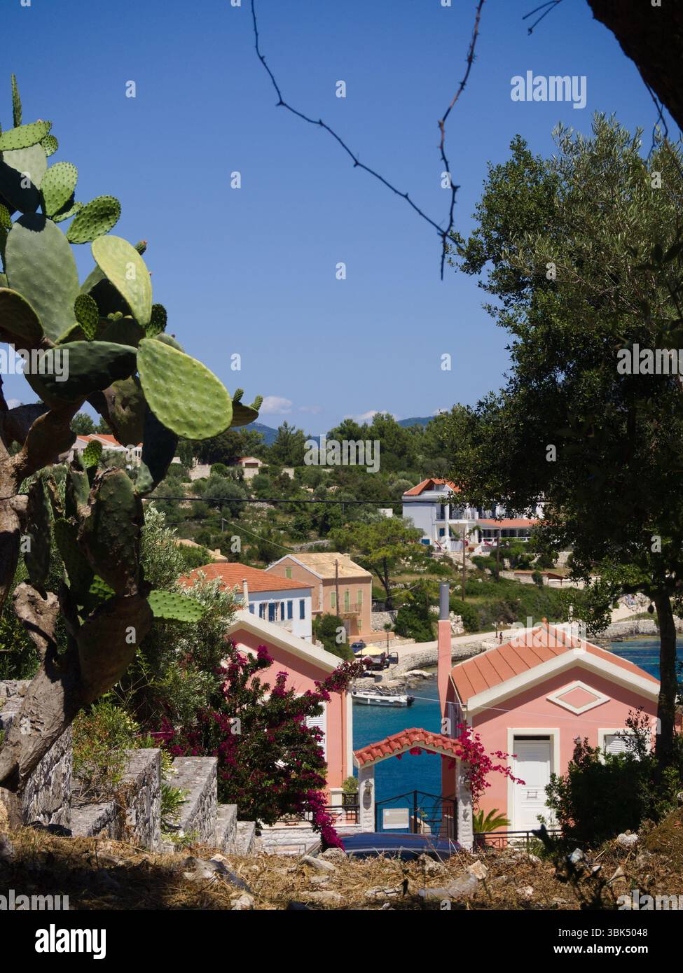 Case colorate su Cefalonia incorniciate da cactus e verde cespuglio con mare e cielo sullo sfondo. Foto Stock