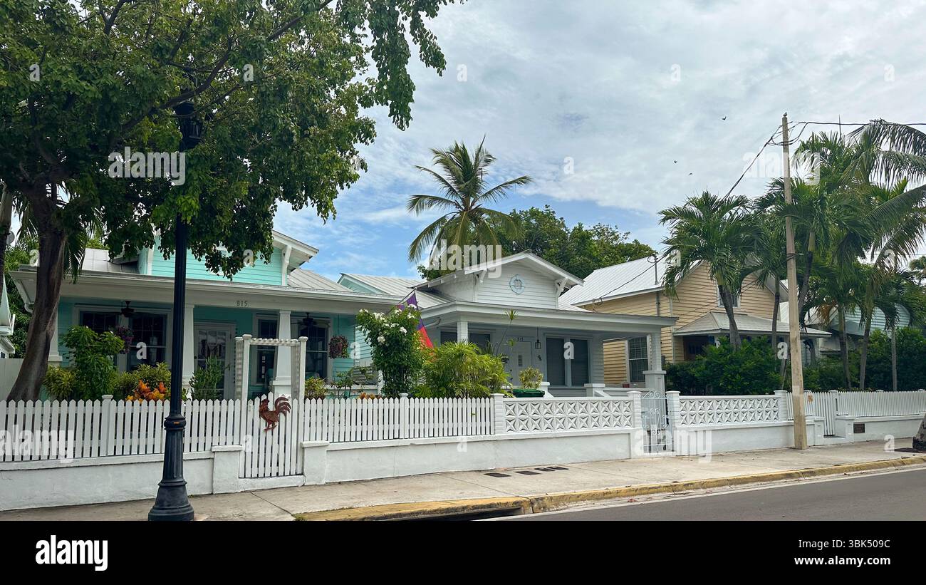 Affascinante strada fiancheggiata da palme con gli storici cottage di Key West e le recinzioni di picket bianche Foto Stock