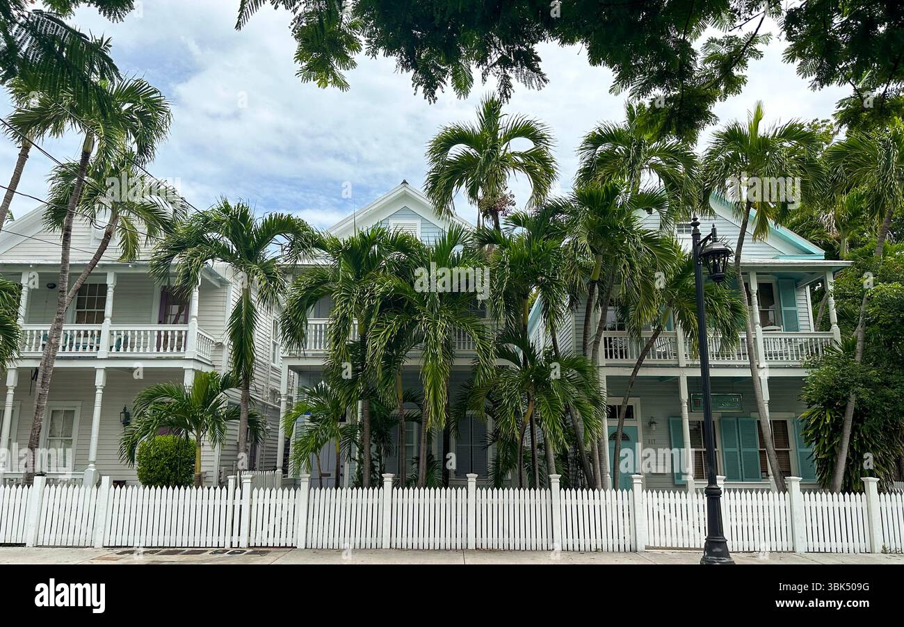 Affascinante strada fiancheggiata da palme con gli storici cottage di Key West e le recinzioni di picket bianche Foto Stock