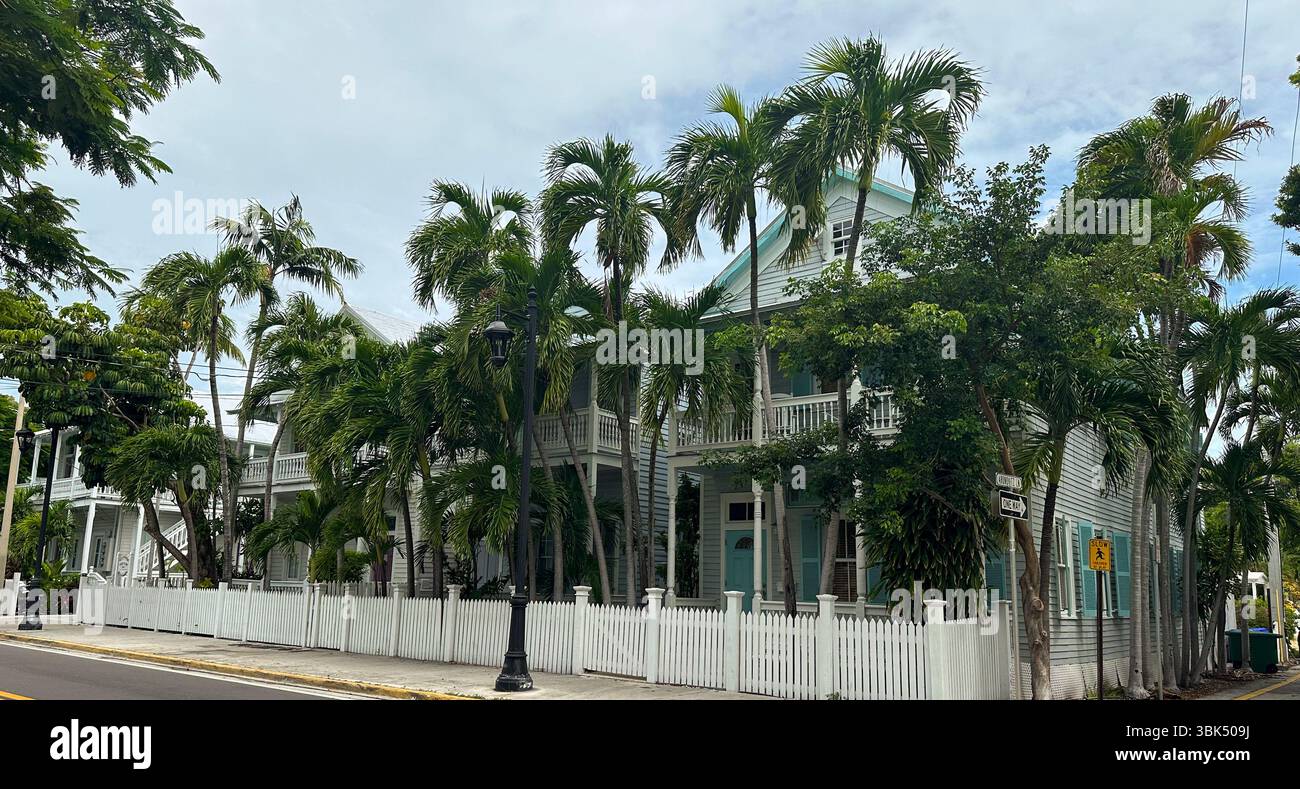 Affascinante strada fiancheggiata da palme con gli storici cottage di Key West e le recinzioni di picket bianche Foto Stock