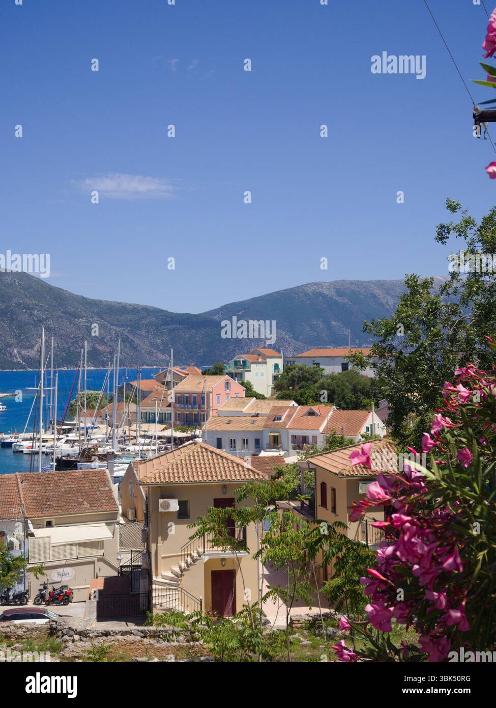 Oleandro rosa di fronte a barche a vela e case nel villaggio di Fiskardo, Cefalonia, Grecia. Foto Stock