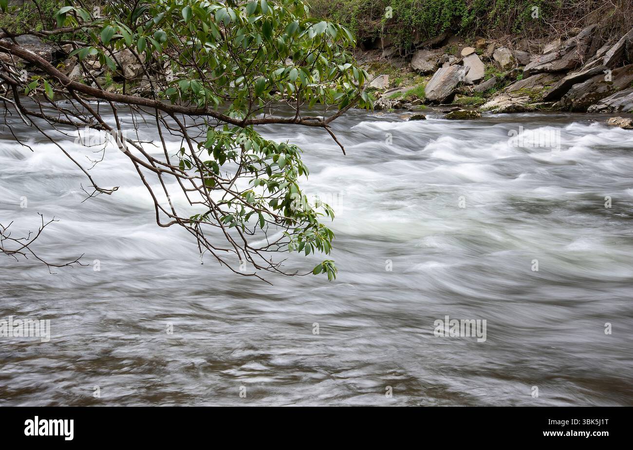 Oconoluftee River, Great Smoky Mountains National Park, North Carolina Foto Stock
