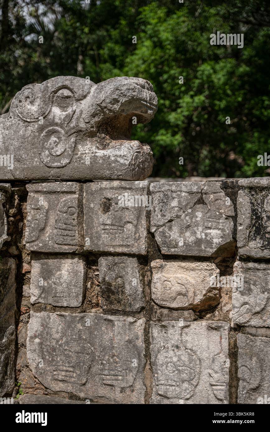 Il muro di pietra di Tzompantli con rilievi del cranio scolpiti e la scultura della testa di serpente piumata in Messico, penisola dello Yucatan, Chichen Itza. Foto Stock