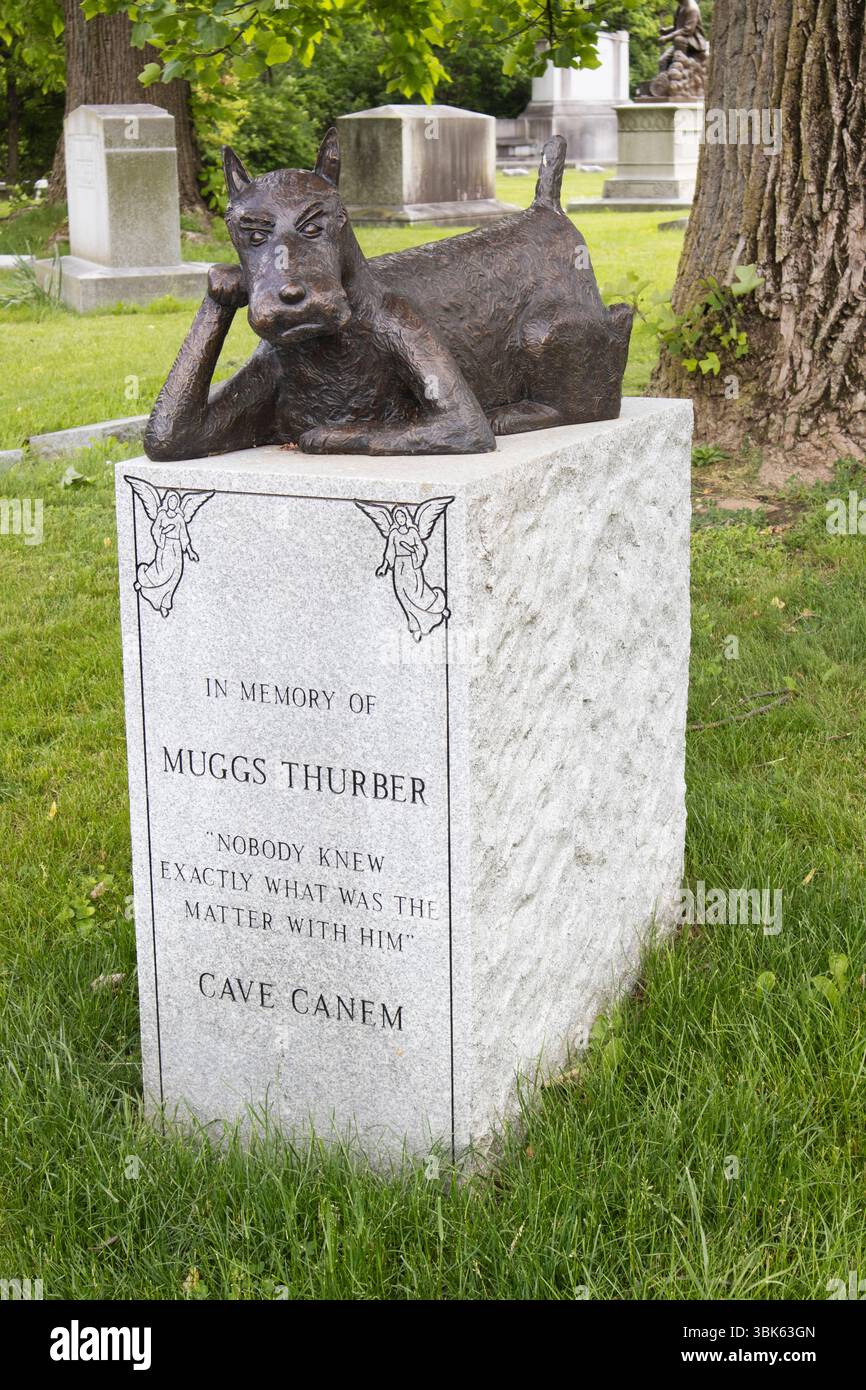 Al Green Lawn Cemetery, Muggs the Airedale, famoso per aver morso quasi tutti, finalmente ottiene la sua statua e l'epitaffio: "Attenzione al cane". Foto Stock