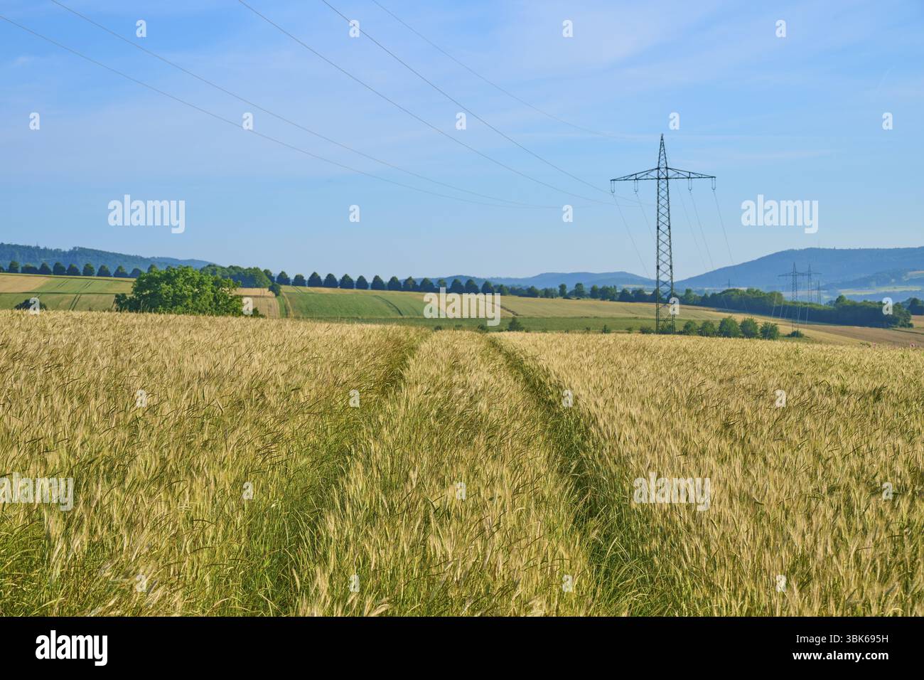 Ampi campi di grano dorato con pilone elettrico, cielo blu e paesaggio collinare, estate, Germerode, parco naturale Geo Park Frau-Holle-Land, Hoher Meissner Foto Stock