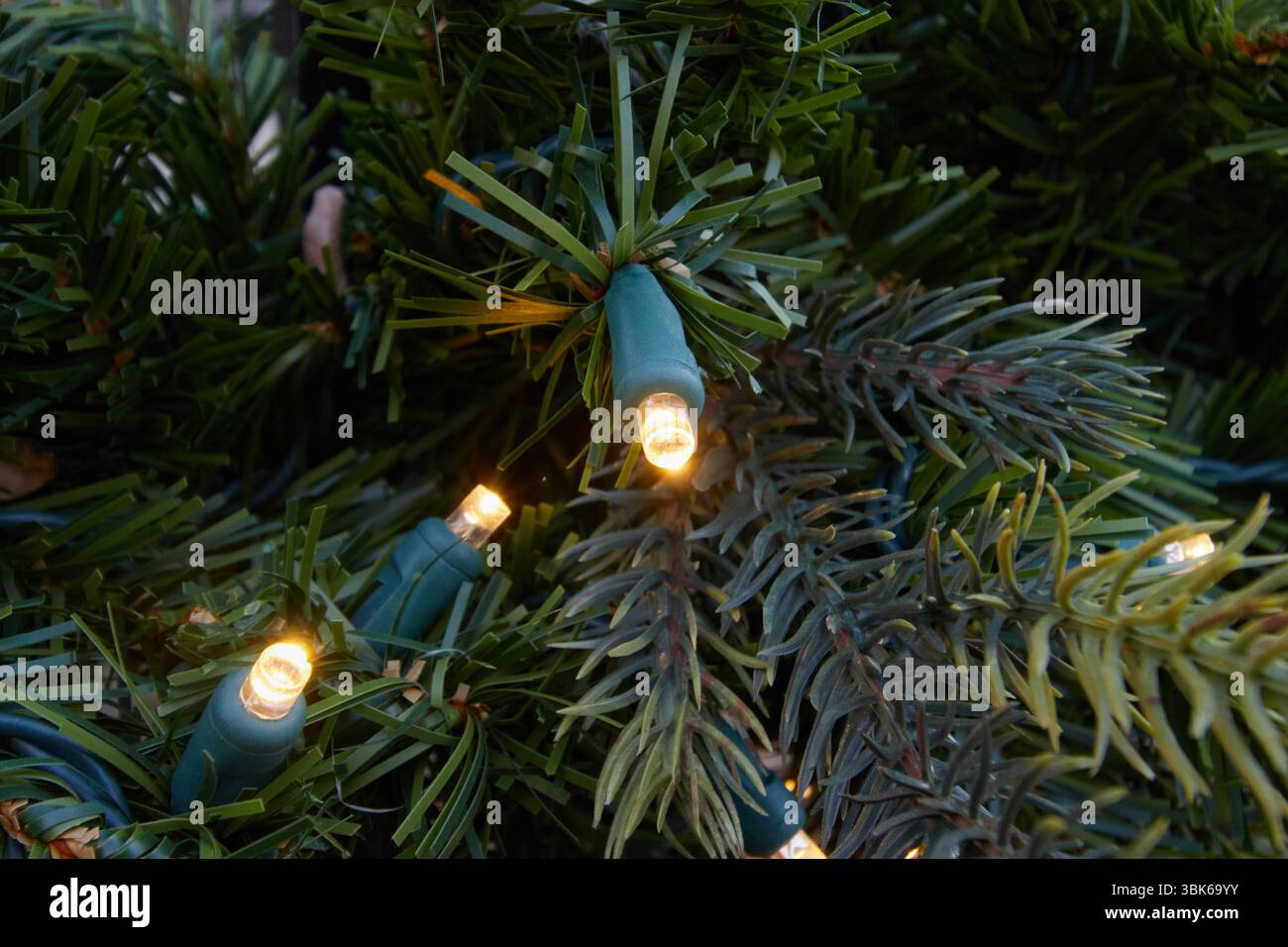 Foto ravvicinata delle luci di natale a LED nei rami di pino, decorazioni per le festività natalizie Foto Stock