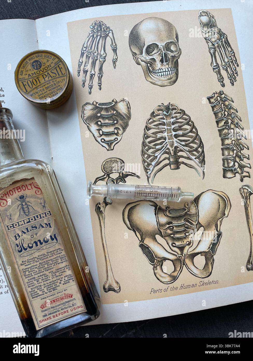 Piatto di illustrazione di scheletro antico da libro di testo con stranezze mediche e bottiglie di farmacia. Foto Stock