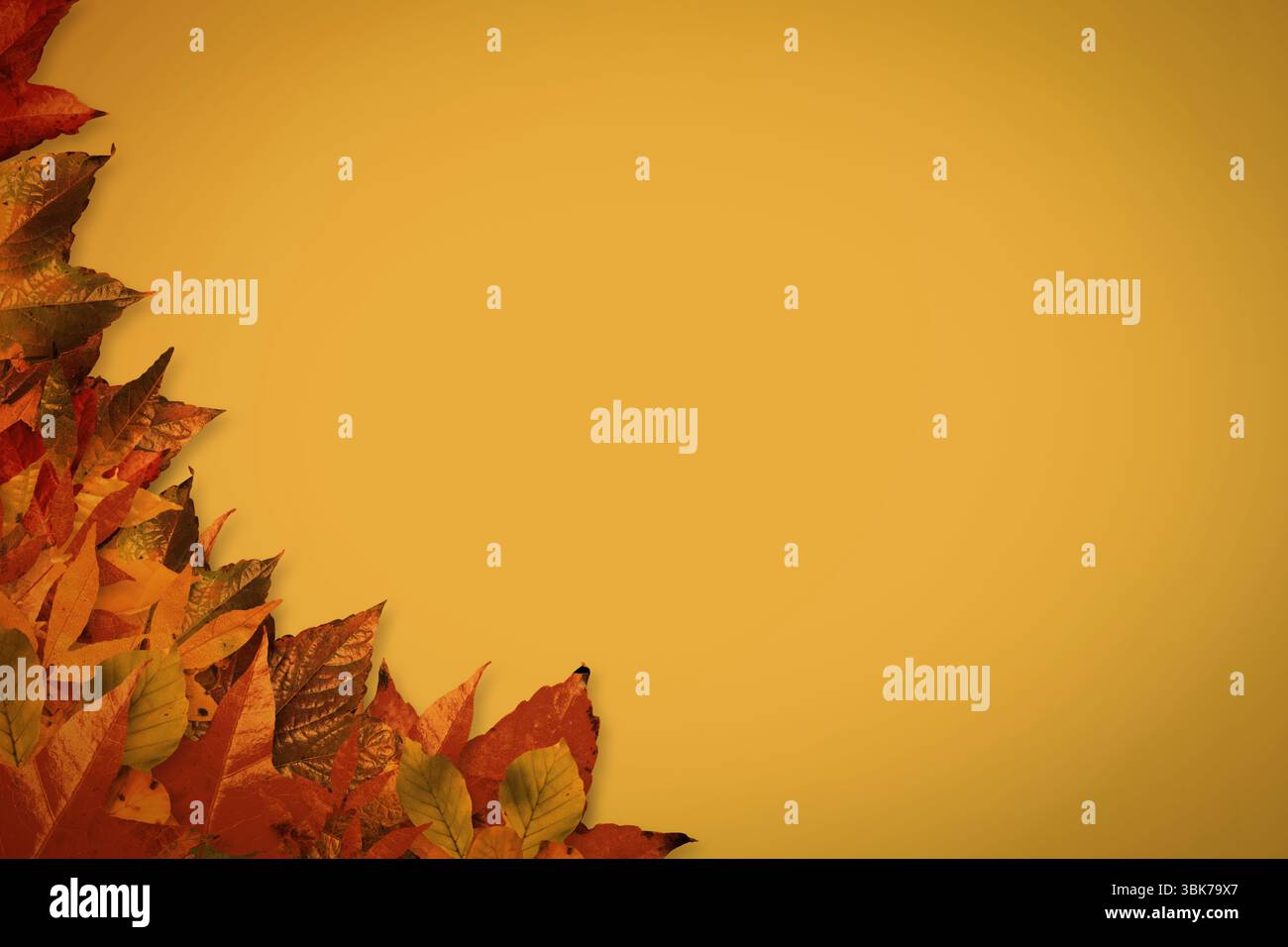 Le foglie autunnali formano il bordo decorativo verso il lato sinistro su uno sfondo dorato dal design piatto, uno spazio di copia Foto Stock