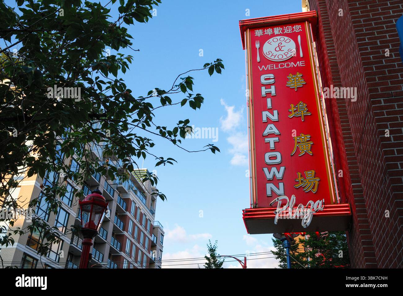 Un cartello al neon per Chinatown Plaza lungo Keefer Street a Chinatown, Vancouver, BC. Foto Stock