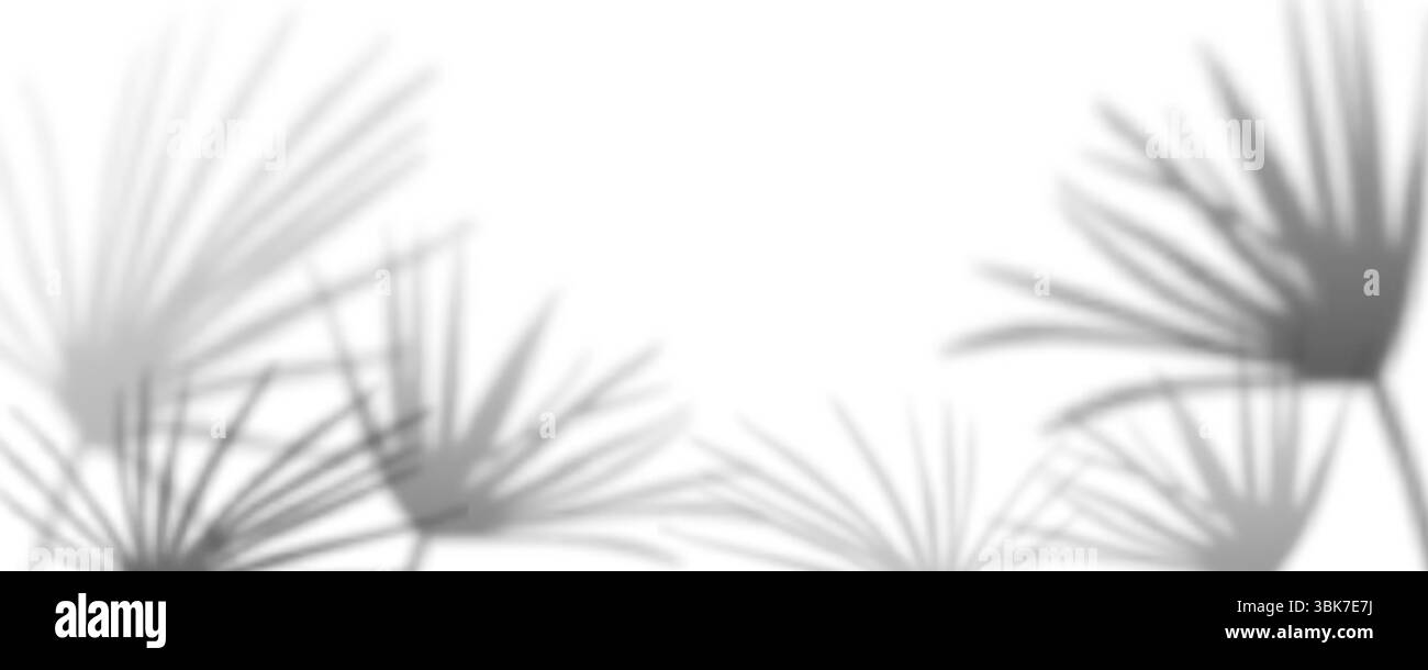 Effetto di sovrapposizione ombreggiatura realistico delle foglie di palmo su bianco bg. Silhouette con paralume di piante tropicali che creano motivi di luce naturali per un modello estivo o elementi di texture botaniche organiche minimaliste. Illustrazione Vettoriale
