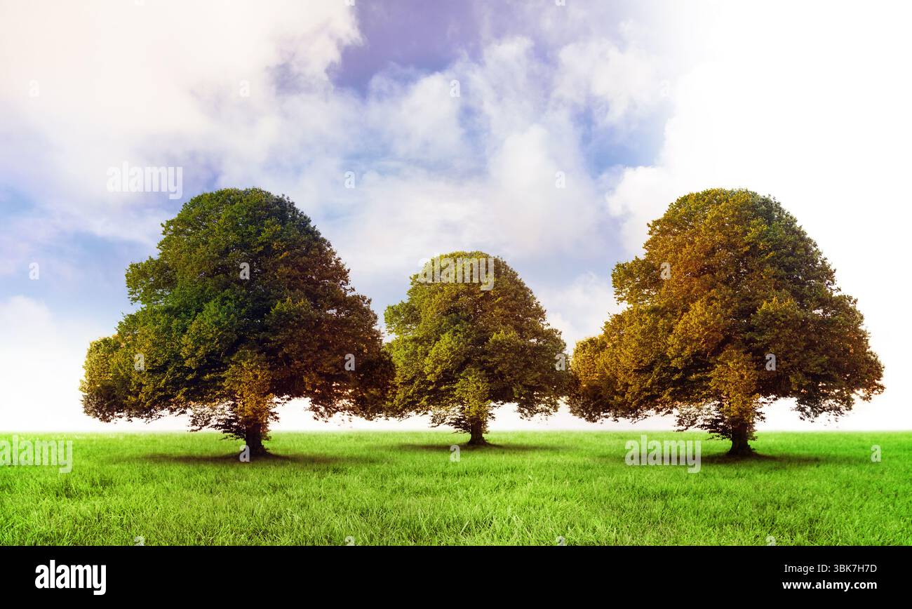 Tre alberi di latifoglie sono in piedi in un prato dal design piatto sotto un cielo parzialmente nuvoloso con erba lussureggiante Foto Stock