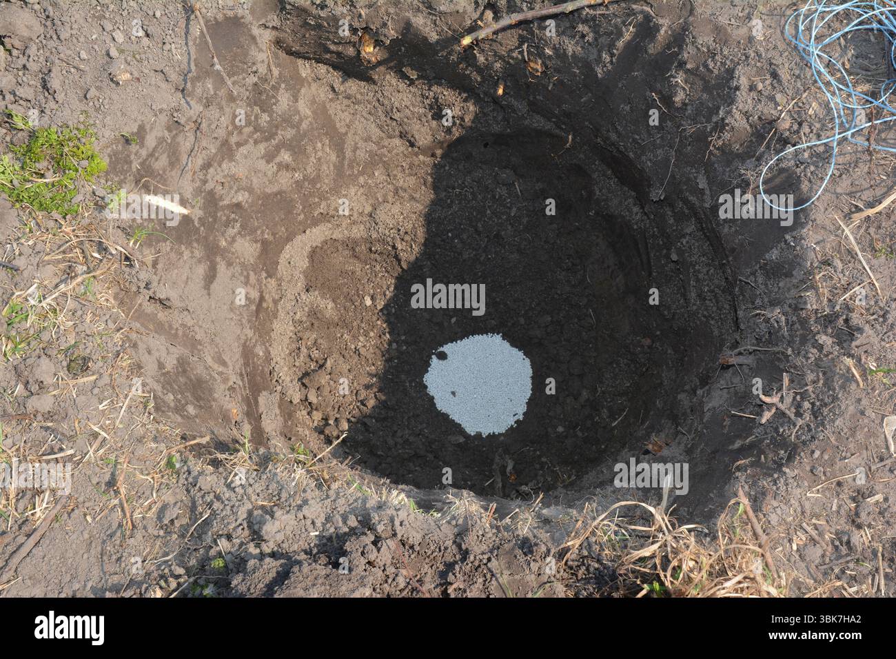 Concimazione degli alberi da frutto con compost nel foro di scavo. Concime a base di nitrato di ammonio per la piantagione di alberi da frutto. Foto Stock