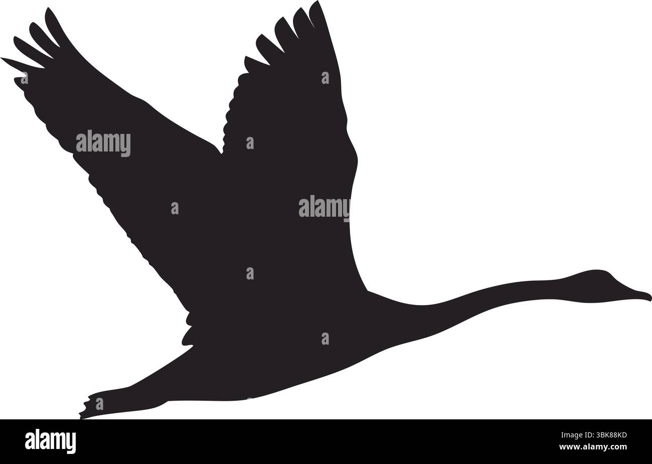 Sagoma di cicogna e pellicano Vector, Black Bird Clipart, Standing and Flying Animal Art, Nature Wildlife Illustration, Simple Outline, Design elegante Illustrazione Vettoriale