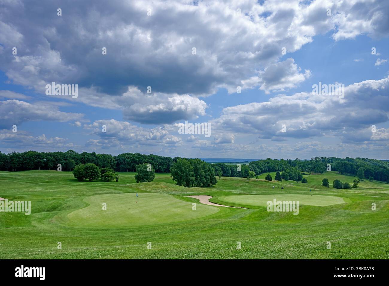 Area erbosa liscia di un campo da golf, alberi e cielo nuvoloso sullo sfondo Foto Stock