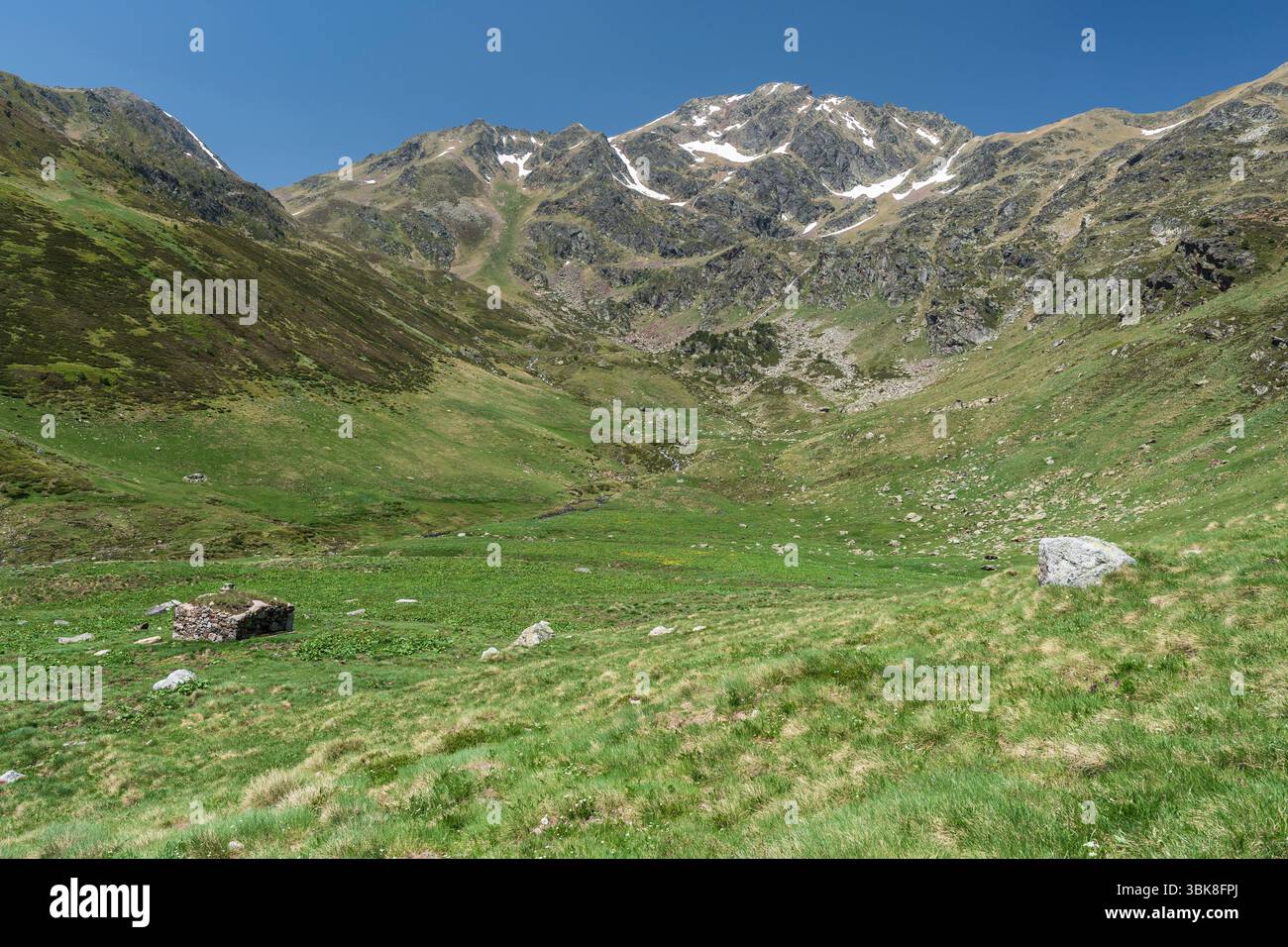 Picco e pascoli di font Blanca, Rialb Valley, Ordino District, Andorra, Europa Foto Stock