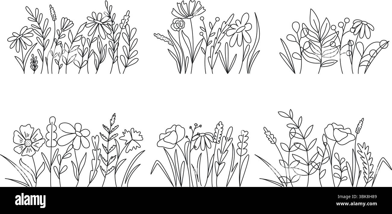 Gruppi di erbe da campo, piante e fiori fanno lo schizzo dello stile. Graziosa composizione a base di erbe disegnata a mano semplici linee nere. Set botanico, vettoriale Illustrazione Vettoriale