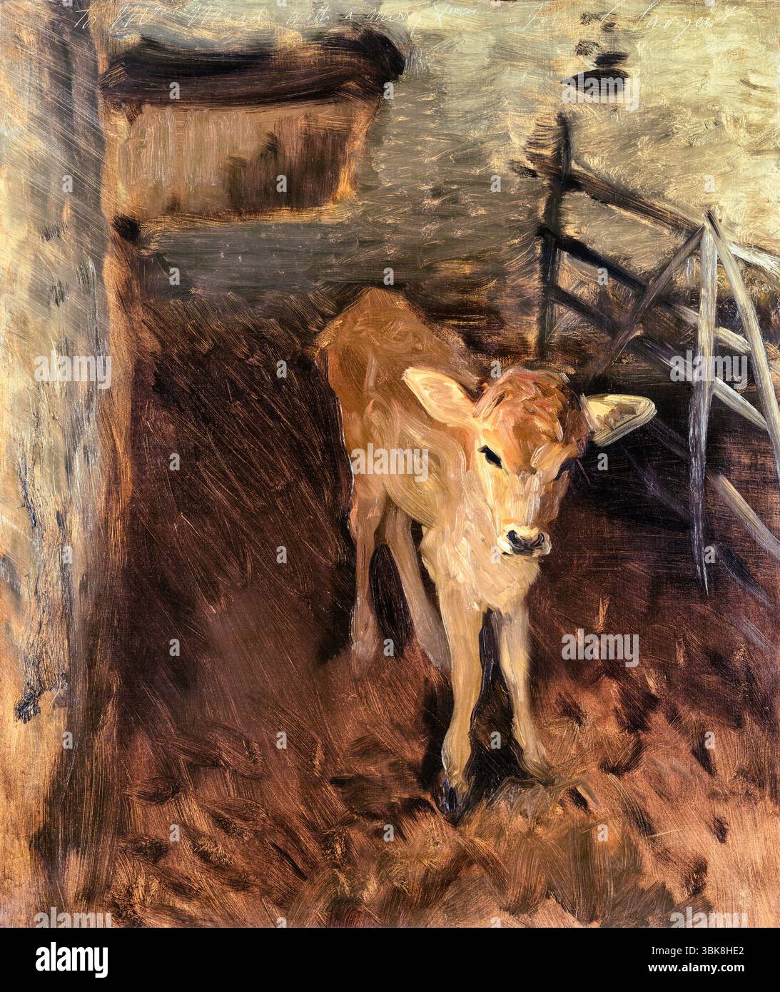 A Jersey Calf di John Singer Sargent - 1893 Animal Study Watercolor, Public Domain fine Art Print, 19th Century Livestock Illustration Foto Stock