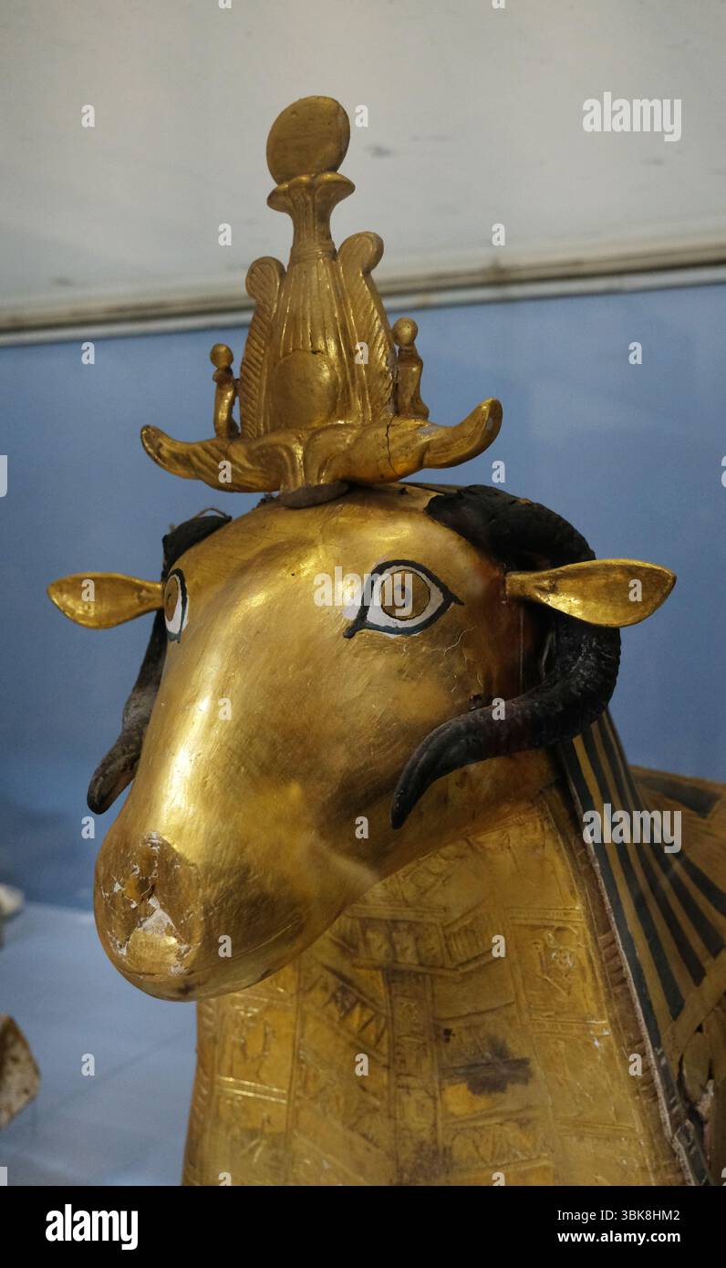 Museo Egizio, Cairo, Egitto Foto Stock