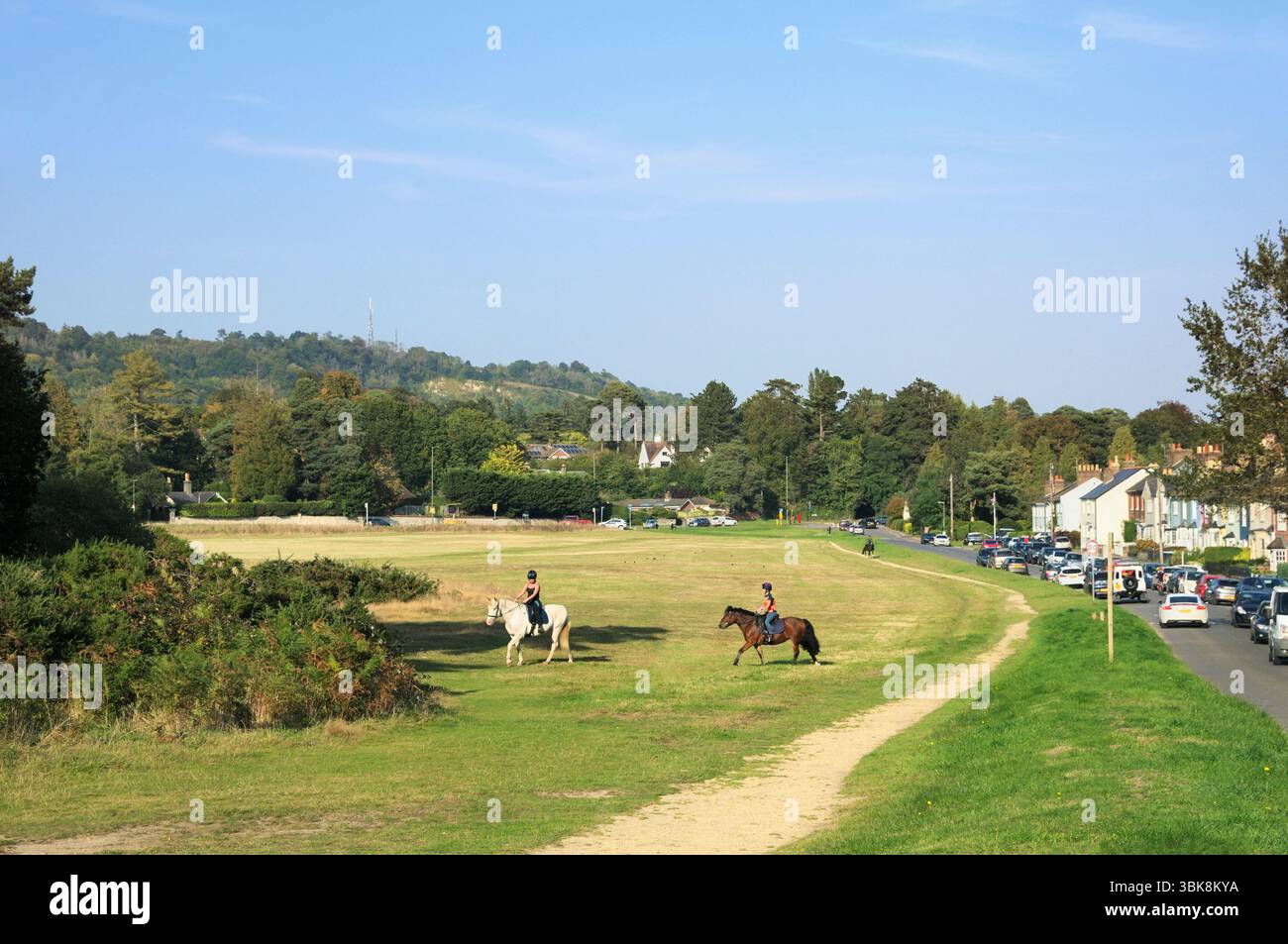 Cavalieri in una giornata di sole a fine estate a Reigate Heath, Surrey Hills, Inghilterra, Regno Unito. equitazione, cavaliere, donne a cavallo, campagna, passeggiate Foto Stock