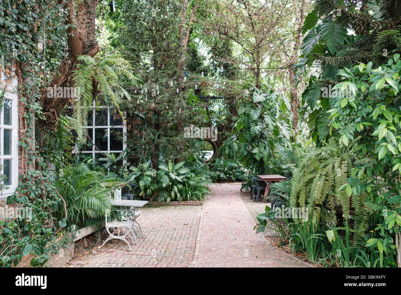 Sentiero in mattoni con tavolo in legno e posto a sedere nel giardino tropicale con varie piante e alberi presso il Cafe' Foto Stock