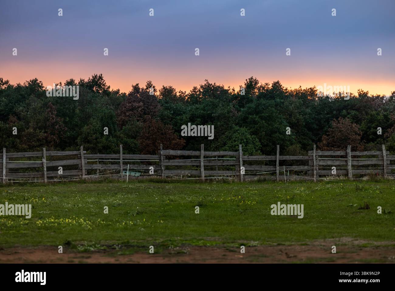 Recinzione in legno nell'azienda agricola con primo piano sullo sfondo naturale Foto Stock