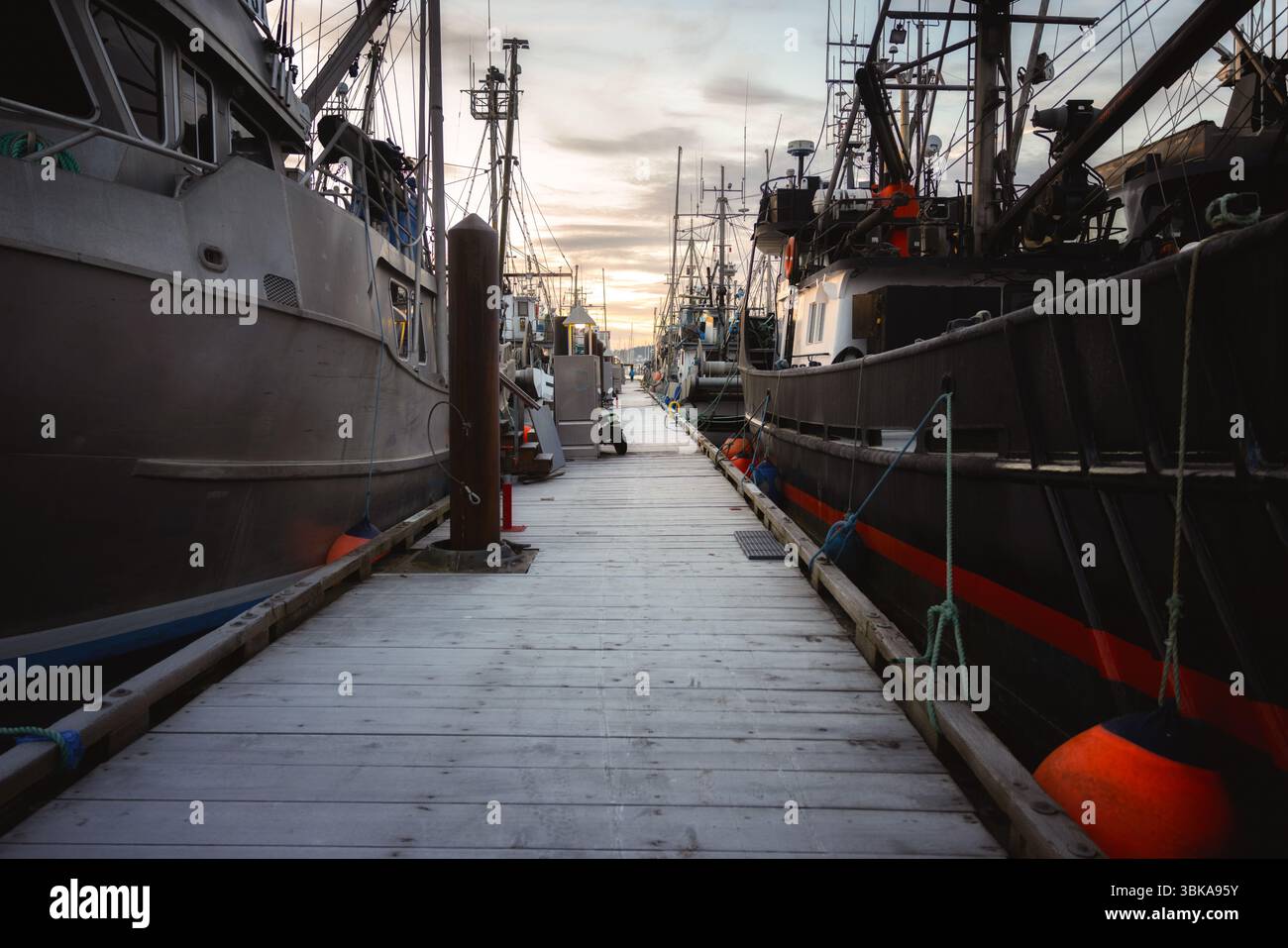 Riflesso degli alberi autunnali in un mare tranquillo e ravvicinato Foto Stock