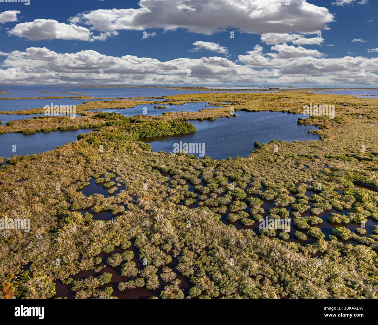 Everglades National Park, il più grande parco naturale subtropicale degli Stati Uniti Foto Stock