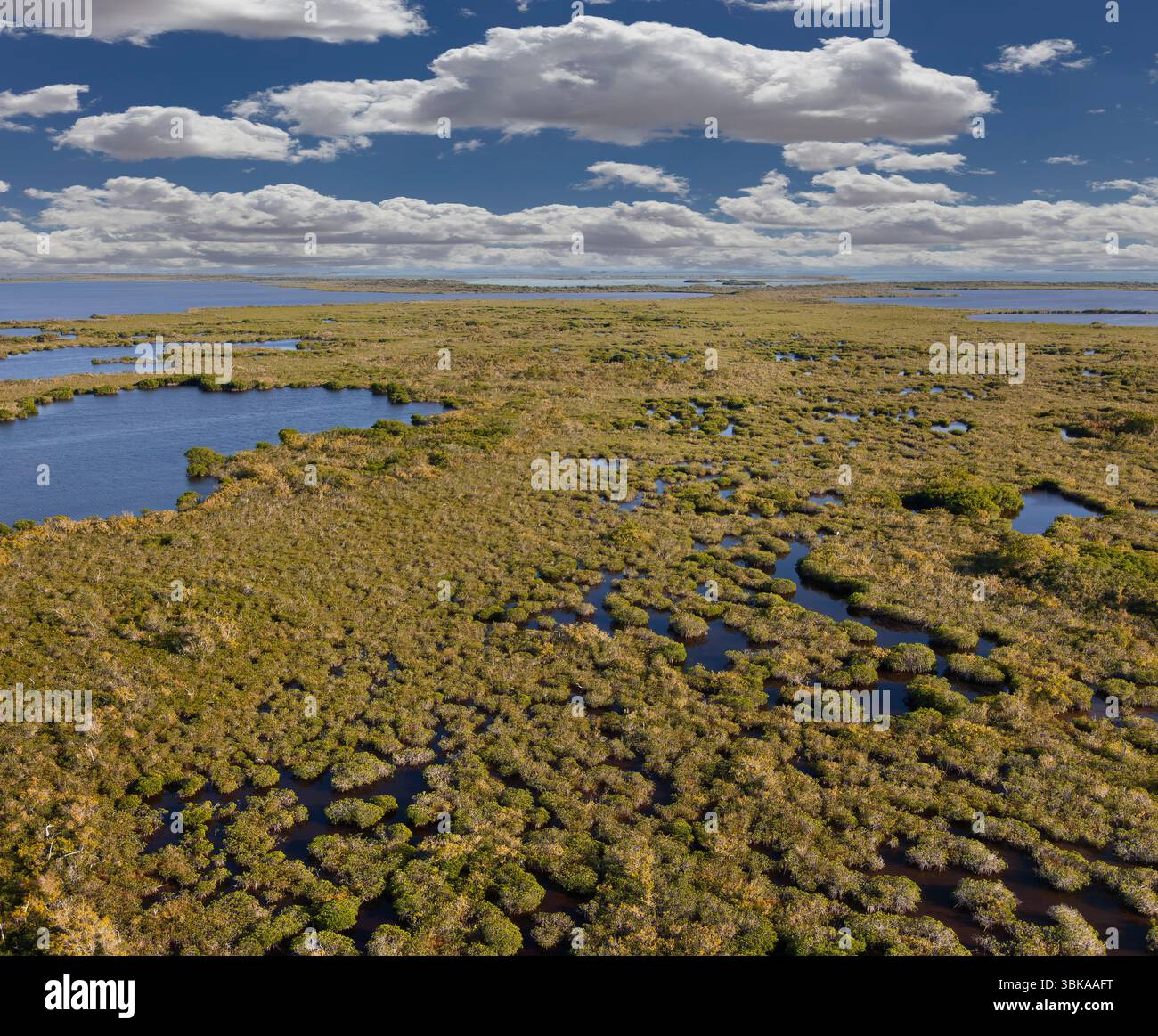 Everglades National Park, il più grande parco naturale subtropicale degli Stati Uniti Foto Stock