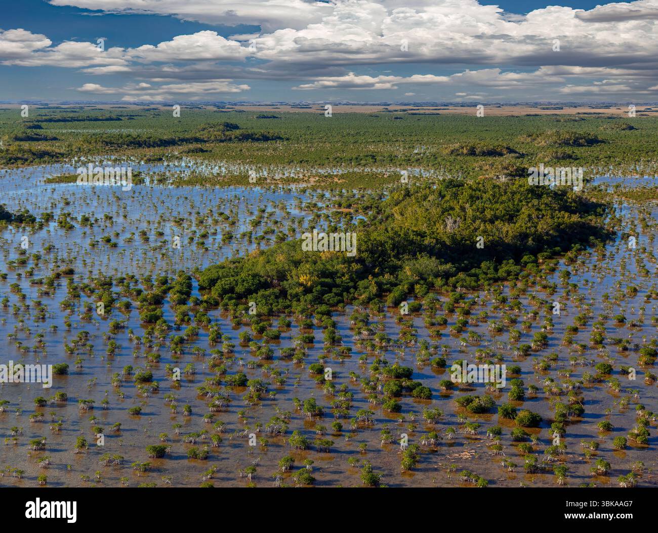 Everglades National Park, il più grande parco naturale subtropicale degli Stati Uniti Foto Stock