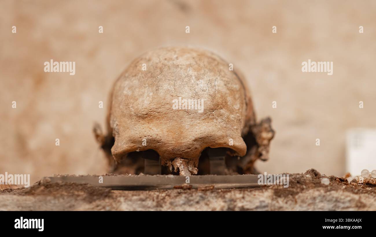 I vecchi teschi nelle catacombe da vicino Foto Stock
