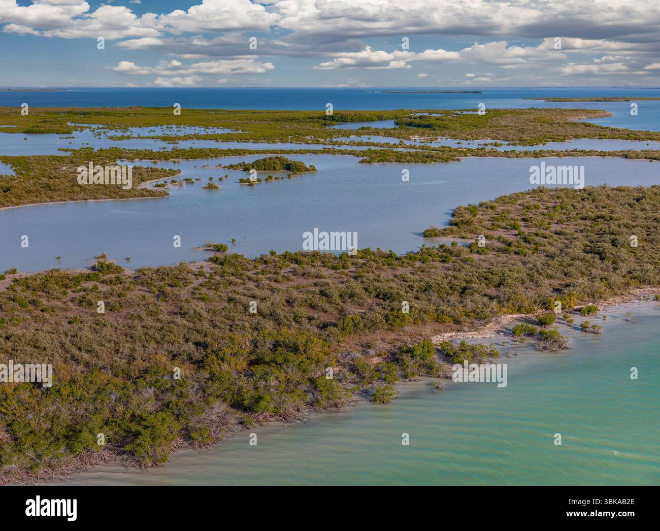 Il Parco Nazionale delle Everglades protegge la più grande natura selvaggia subtropicale degli Stati Uniti, che comprende oltre 1,5 milioni di acri Foto Stock